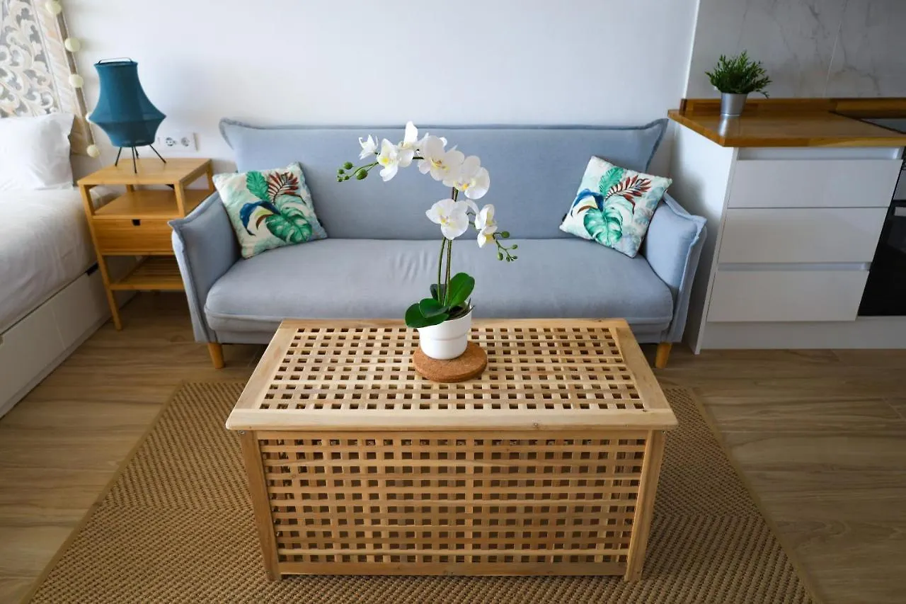 Cosy Sea View Studio Free Wifi Callao Salvaje Apartment